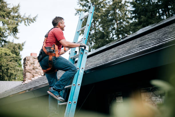 Best Gutter Installation and Repair  in Rio Bravo, TX